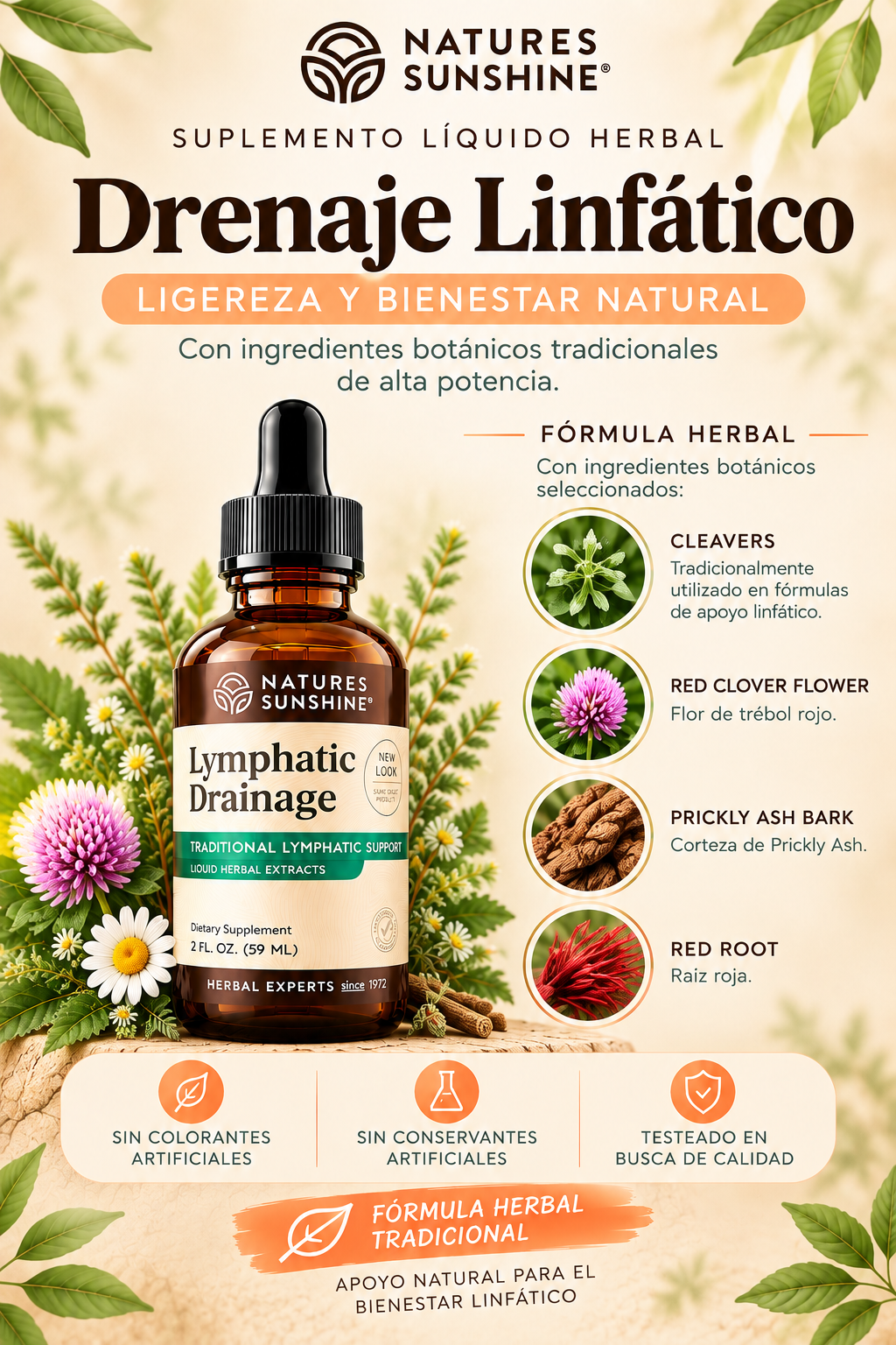 🌿 LYMPHATIC DRAINAGE | Ligereza Natural ✨