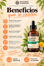 🌿 LYMPHATIC DRAINAGE | Ligereza Natural ✨